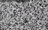 cookies-cream-s-on-n14-white-base-with-5-lollipop-purple-2000x1389-800x556-1